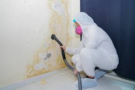 Professional Mold Remediation in Coopersburg, PA